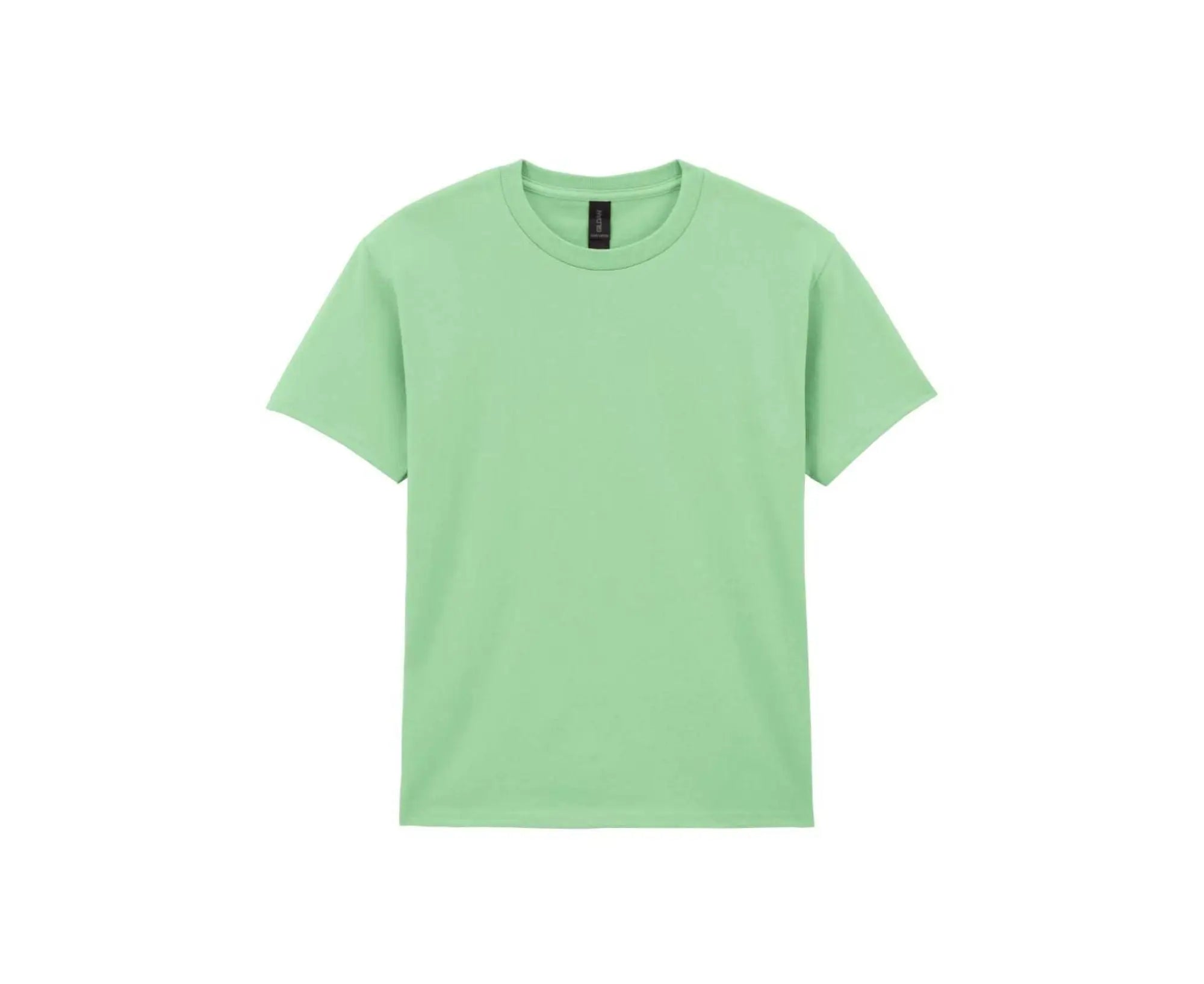 GIB5000 | Heavy Cotton™ Kids T-Shirt Mint Green