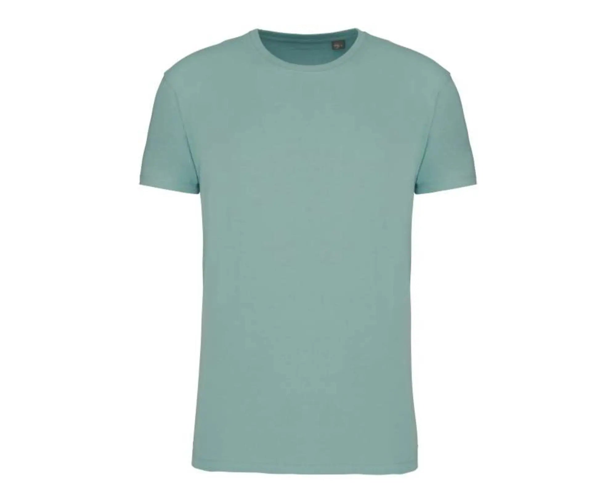 KA3025IC | Men's Round Neck T-Shirt Sage